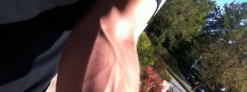 How I Put the Workout to the Test
